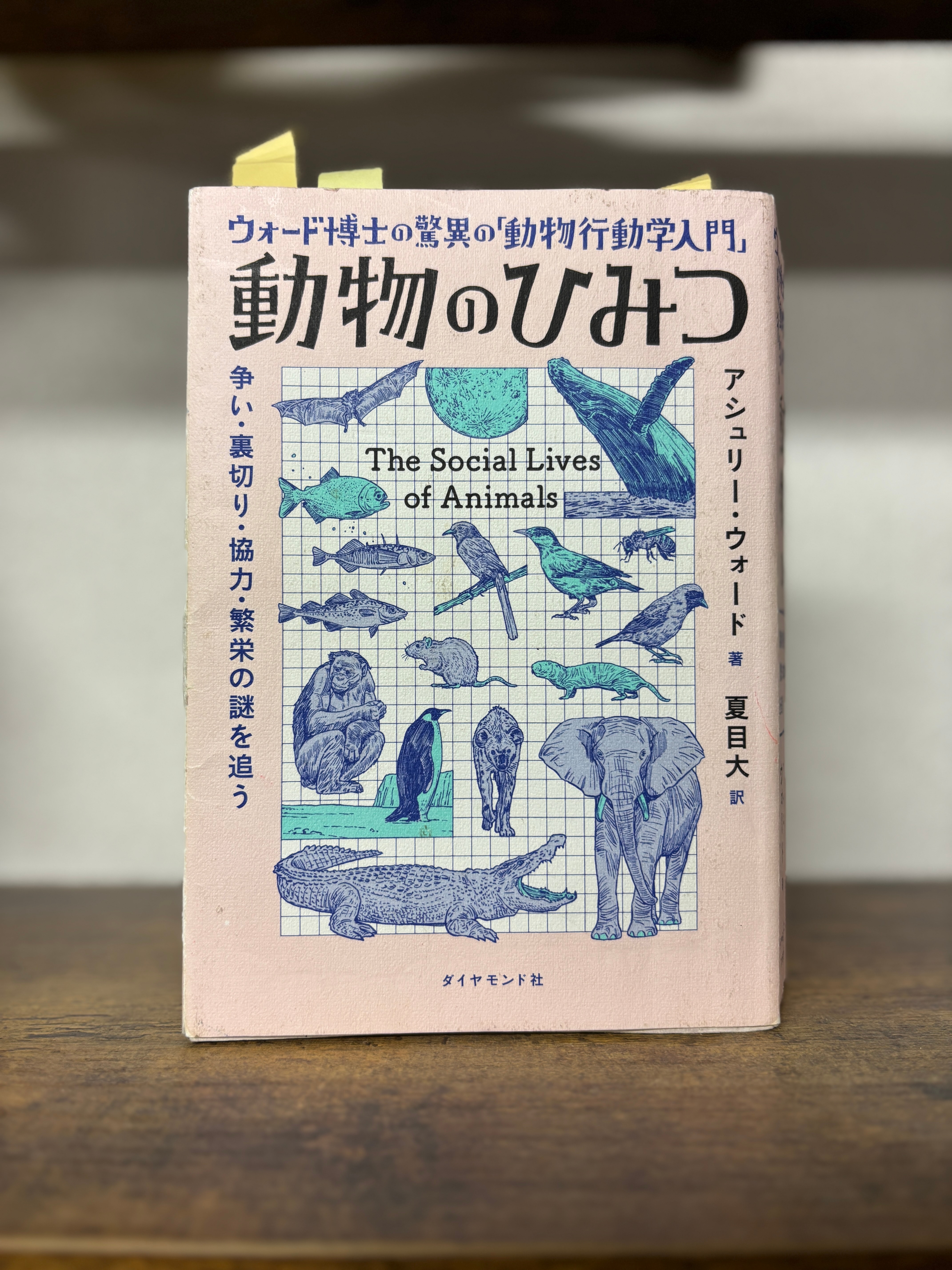 授業で扱う書影